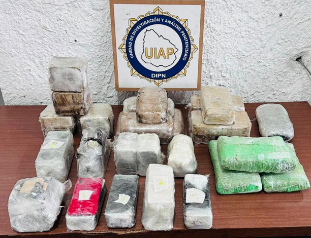 droga incuatada en la Unidad N° 4 del INR