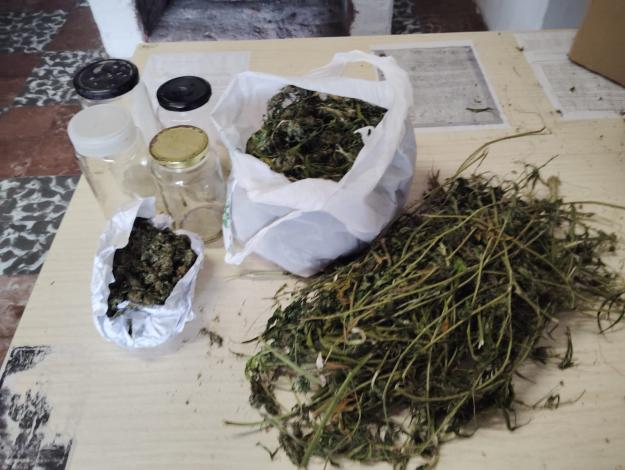 Marihuana incautada