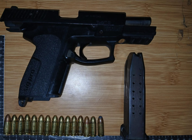 arma, cartuchos y cargador incautados