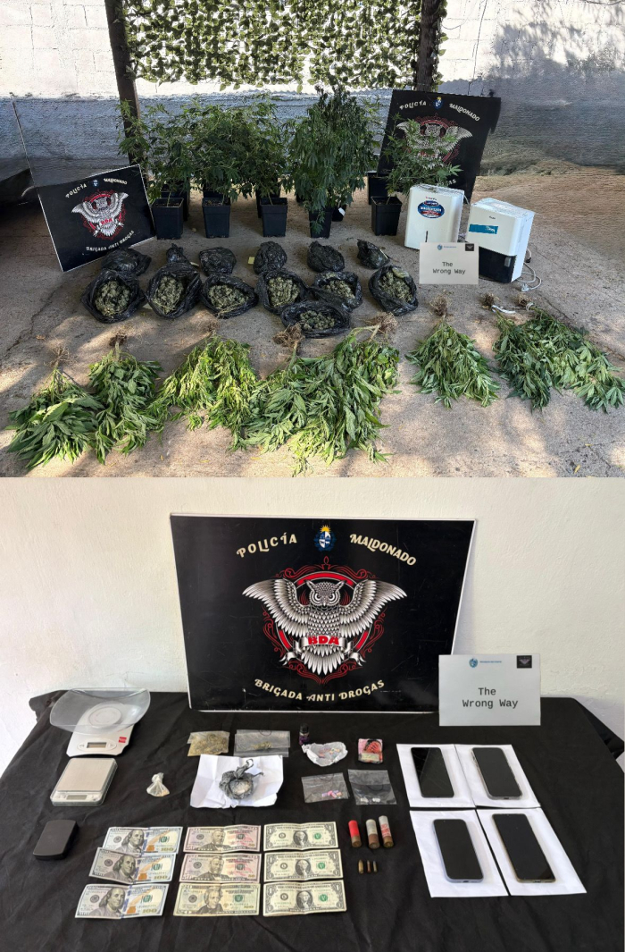 Operación Wrong Way