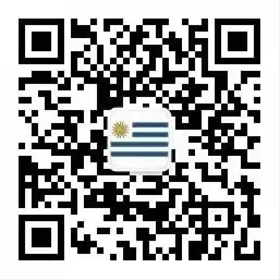 QR code for accessing the official WeChat account