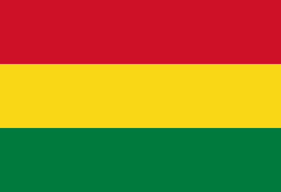 Bandera del Estado Plurinacional de Bolivia