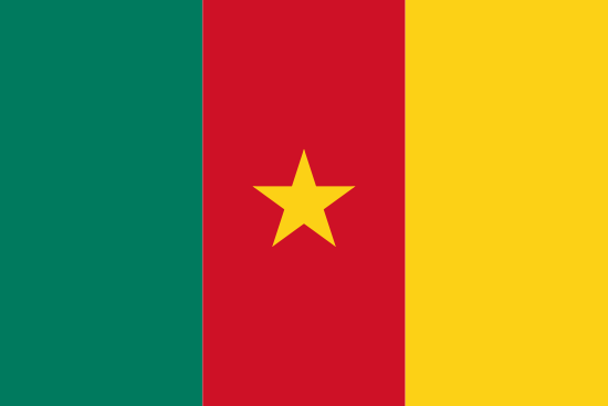 Bandera de la República del Camerún