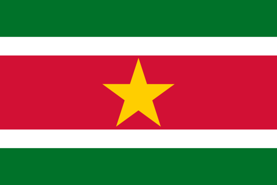 Bandera de la República de Surinam