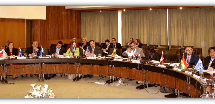 Primera reunión plenaria entre conferencias regionales