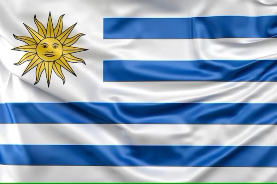 Bandera uruguaya