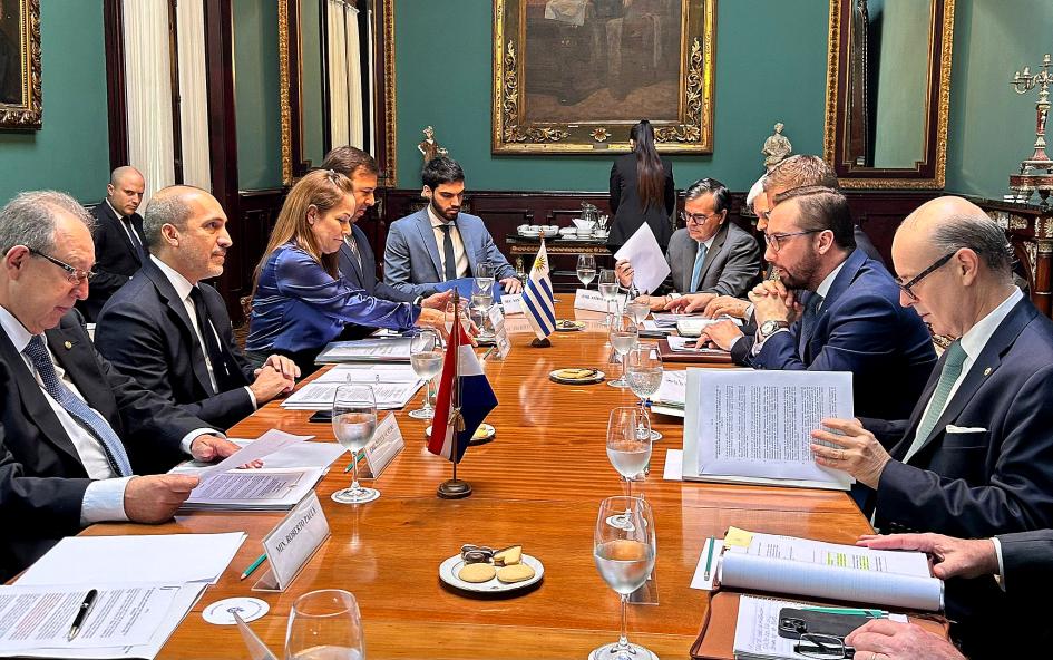 Consultas Políticas Uruguay-Paraguay Consultas Políticas Uruguay-Paraguay