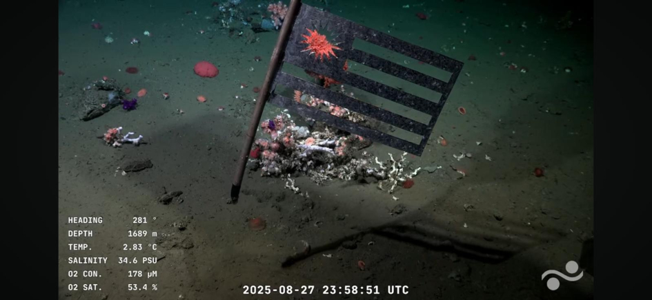 Bandera uruguaya en el fondo del mar Bandera uruguaya dispuesta en el fondo del mar por la expedición Sub200