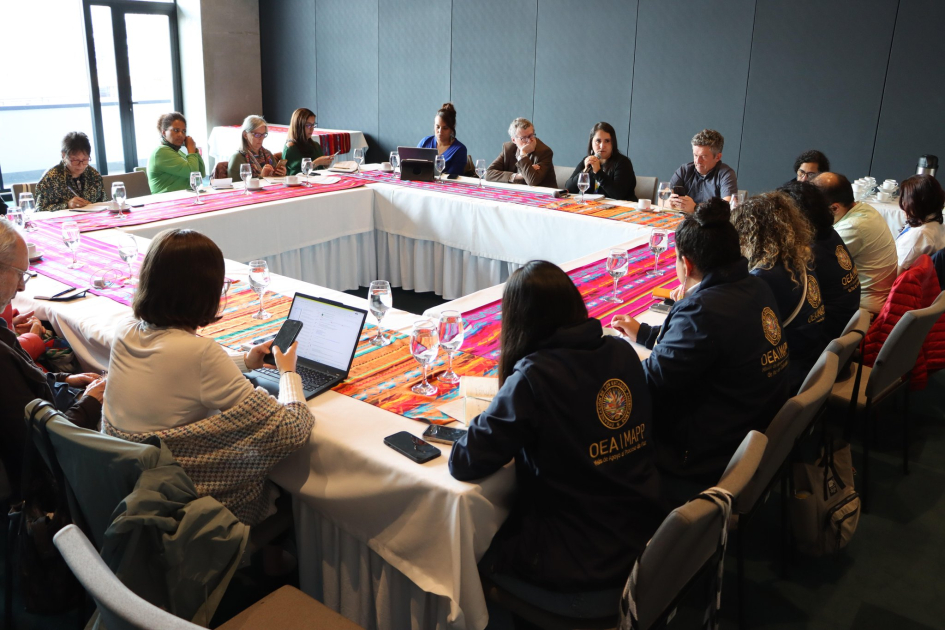 Encuentros Misión de Apoyo al Proceso de Paz (MAPP/OEA) a Nariño