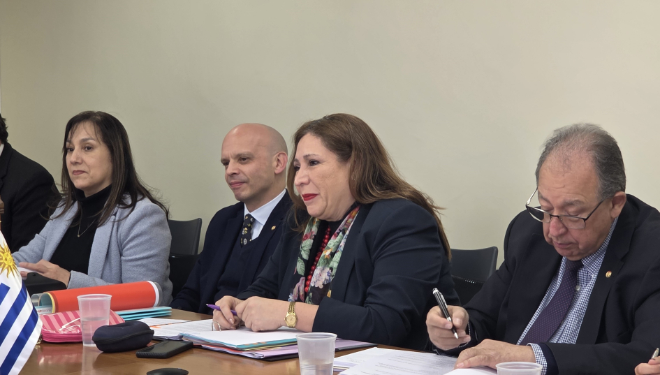 Paraguay y Uruguay celebraron la III Reunión de la Comisión Mixta Educativa y Cultural Paraguay y Uruguay celebraron la III Reunión de la Comisión Mixta Educativa y Cultural