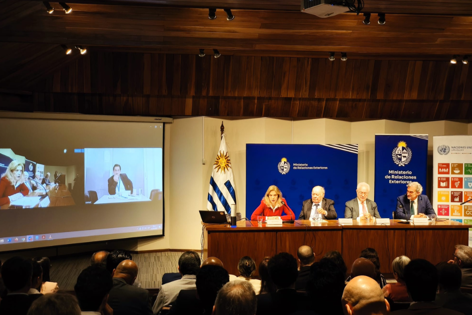 Representante Especial Adjunto y jefe Adjunto de las Naciones Unidas en Colombia, Raul Rosende  Representante Especial Adjunto y jefe Adjunto de la Misión de las Naciones Unidas en Colombia