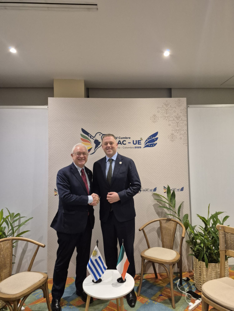 Ministro de Estado de Asuntos Europeos y Defensa de Irlanda, Thomas Byrne y Canciller Mario Lubetkin