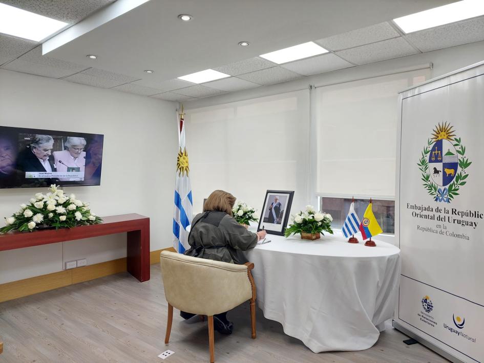 Embajadora de Estados Unidos Mexicanos Embajadora de Estados Unidos Mexicanos