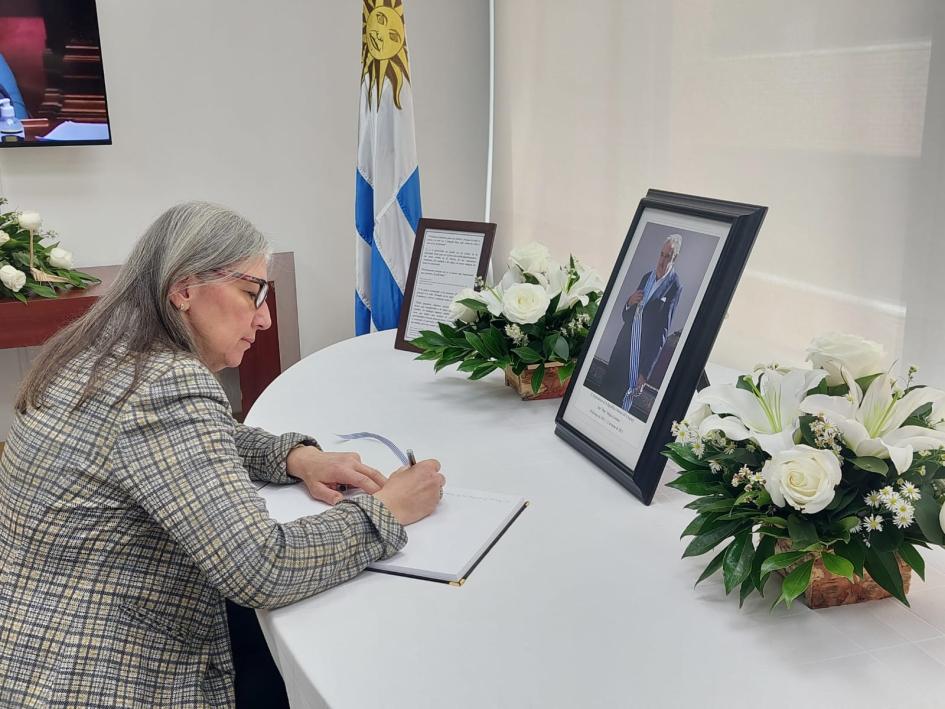 Embajadora de la República de Türkiye Embajadora de República de Türkiye