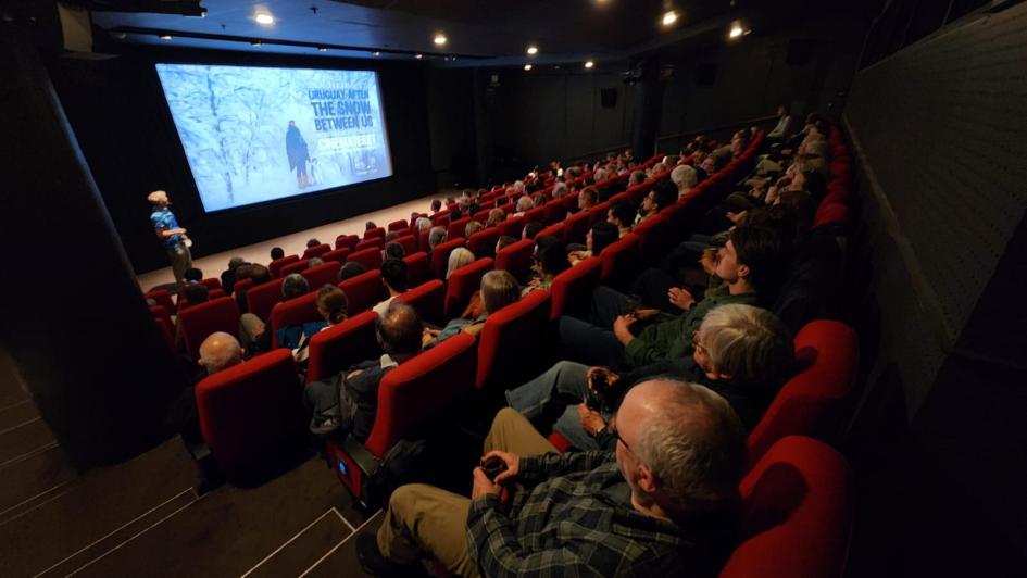 Screening room Panoramic view of the cinema hall, with attendees seated
