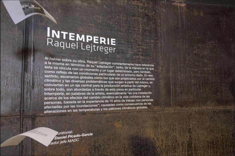 Intemperie, Raquel Lejtreger Imagen de la obra