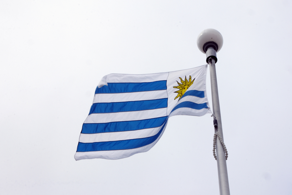 Izado de bandera 13