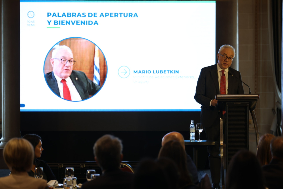 Ministro hablando en evento BID/OCDE