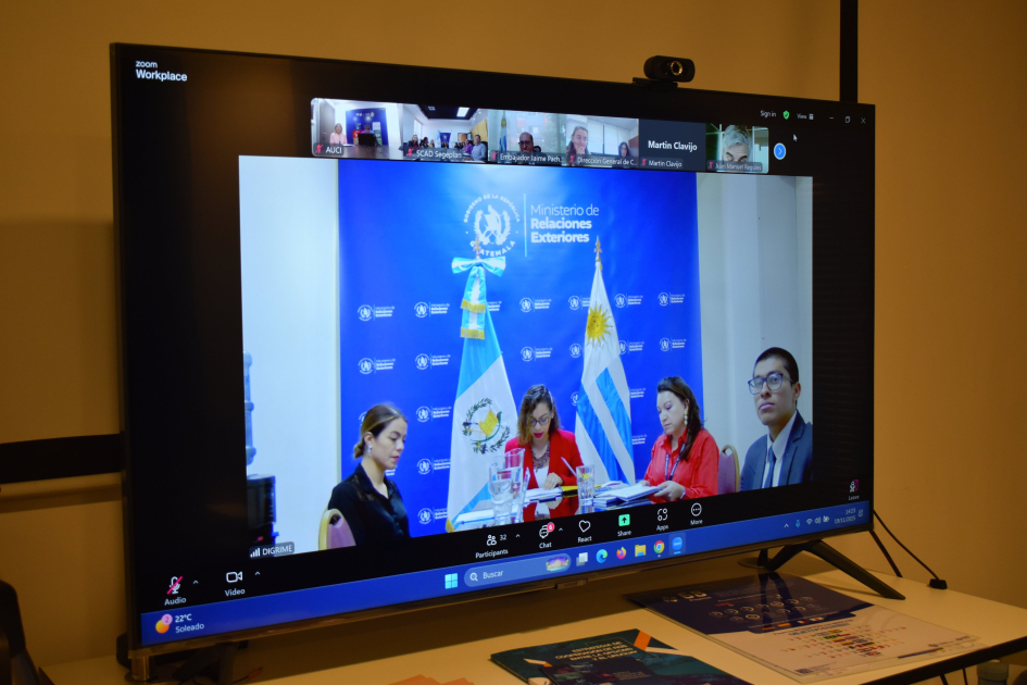 Participantes en Reunión Virtual Comisión Mixta de Cooperación Técnica MINEX