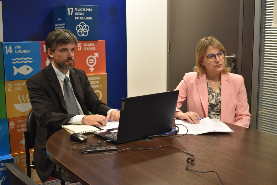 Reunión Virtual Comisión Mixta de Cooperación Técnica AUCI