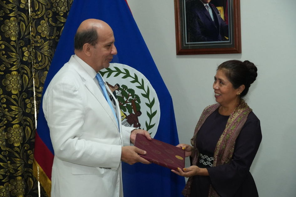 Entrega de Cartas Credenciales