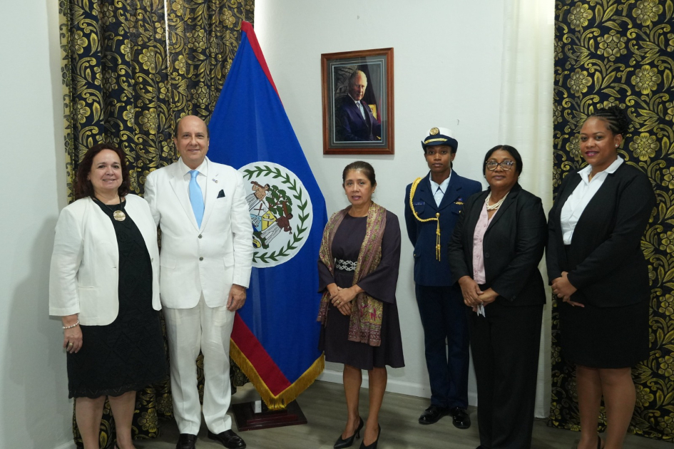 Entrega de Cartas Credenciales