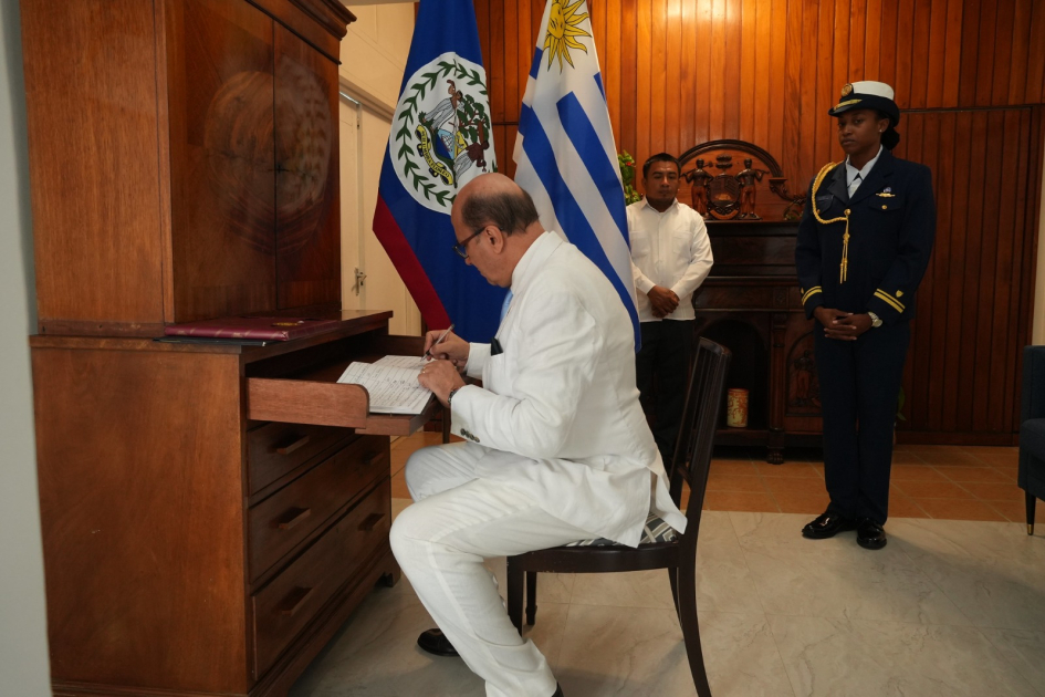 Entrega de Cartas Credenciales