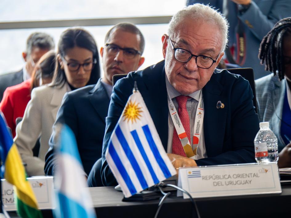 Discurso del canciller Lubetkin - IX Cumbre de la CELAC Discurso del canciller Lubetkin - IX Cumbre de la CELAC