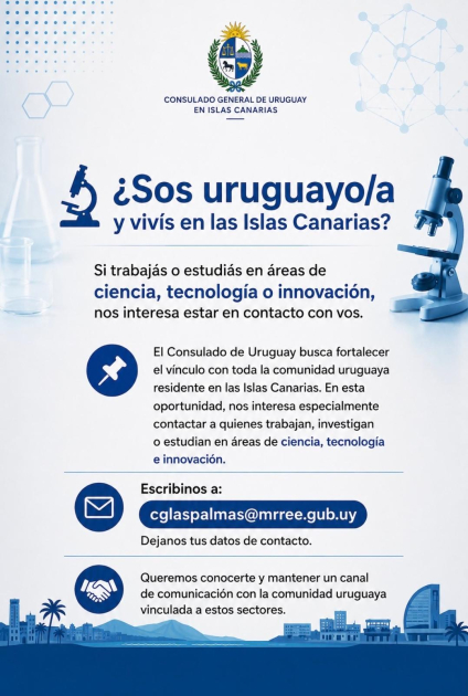 Información detallada sobre lo que busca el Consulado