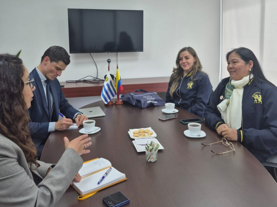 Reunión con expertas en temas antárticos de la Universidad Militar Nueva Granada