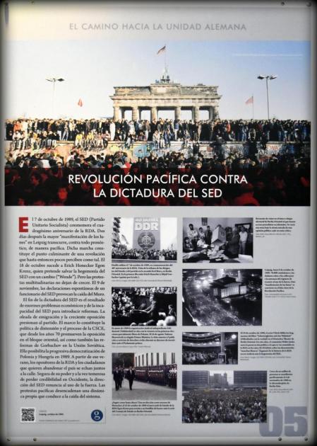 Imagen de la muestra Imagen de la muestra