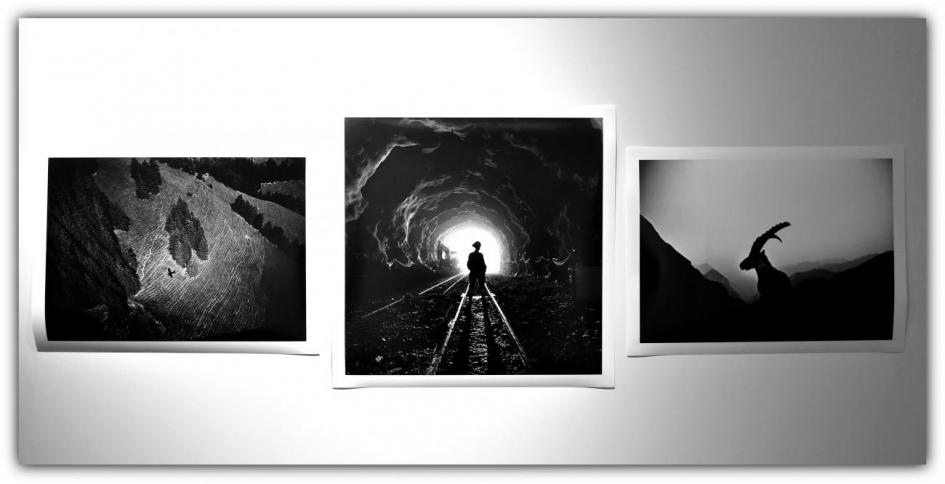 Imagen de la exposición Imagen de la exposición