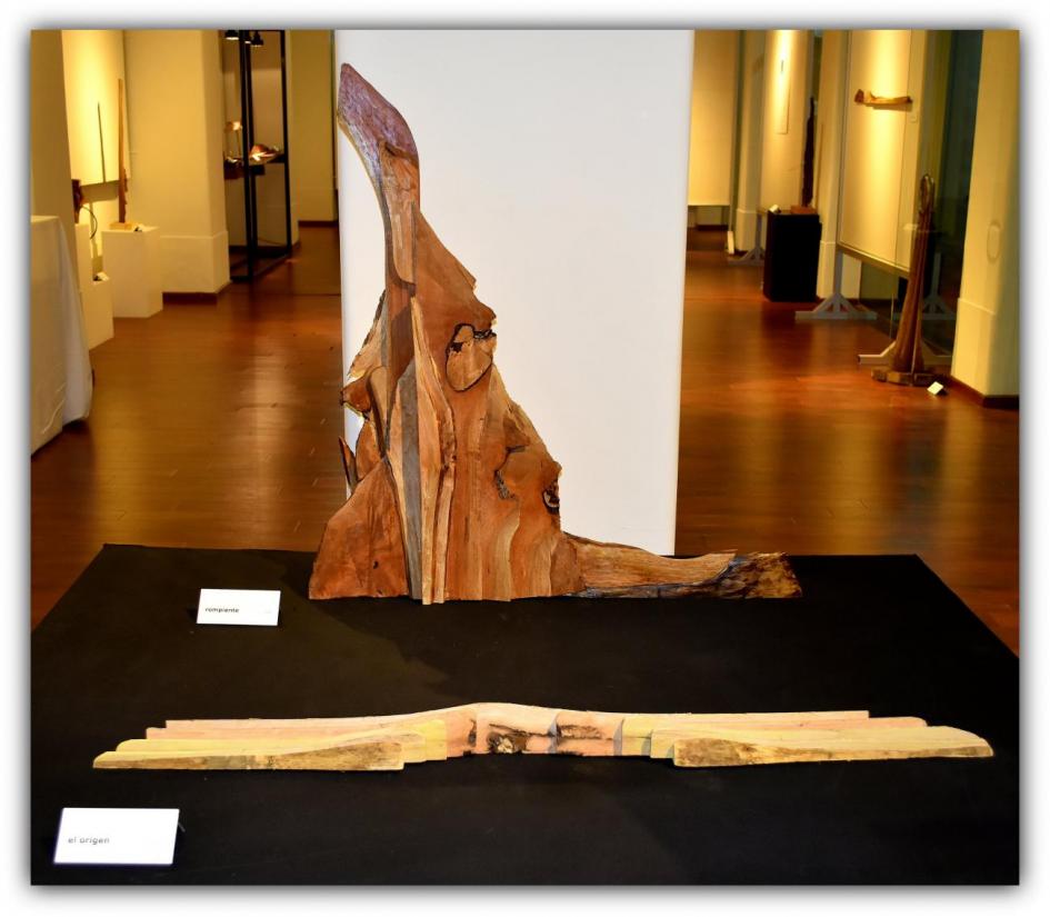 Imagen de la exposición Imagen de la exposición
