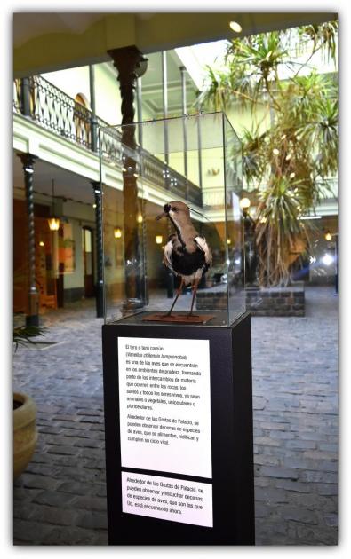 Imagen de la exposición Imagen de la exposición