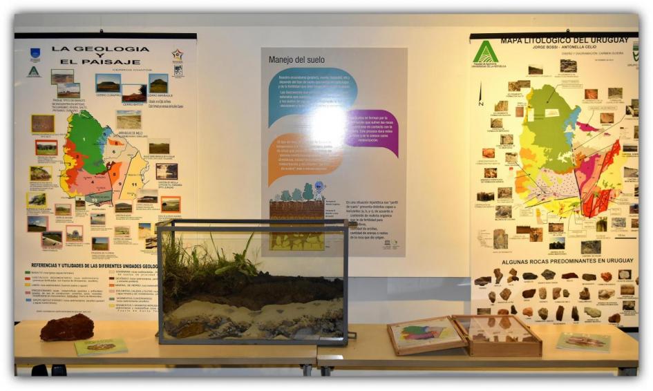 Imagen de la exposición Imagen de la exposición