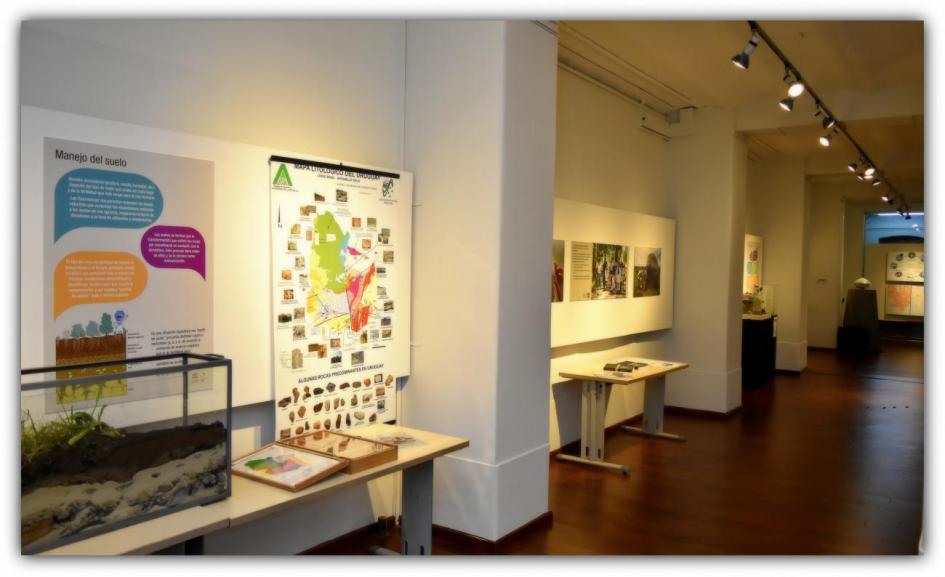 Imagen de la exposición Imagen de la exposición