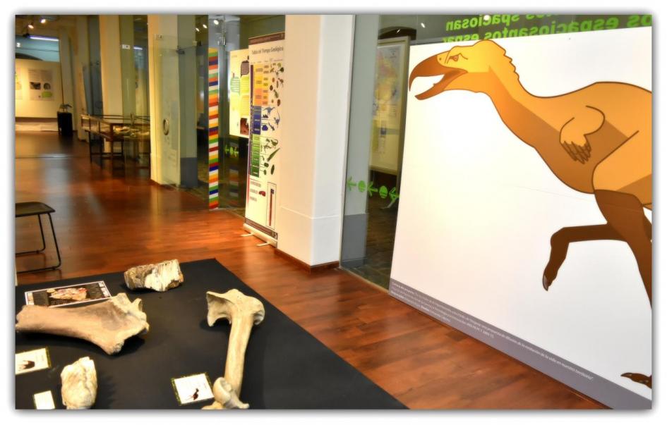 Imagen de la exposición Imagen de la exposición