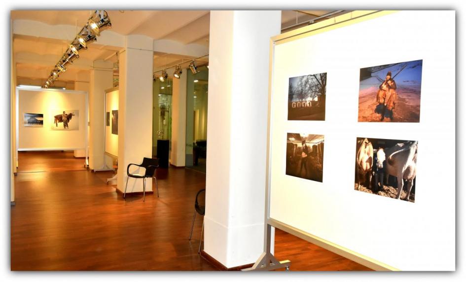 Imagen de la exposición Imagen de la exposición