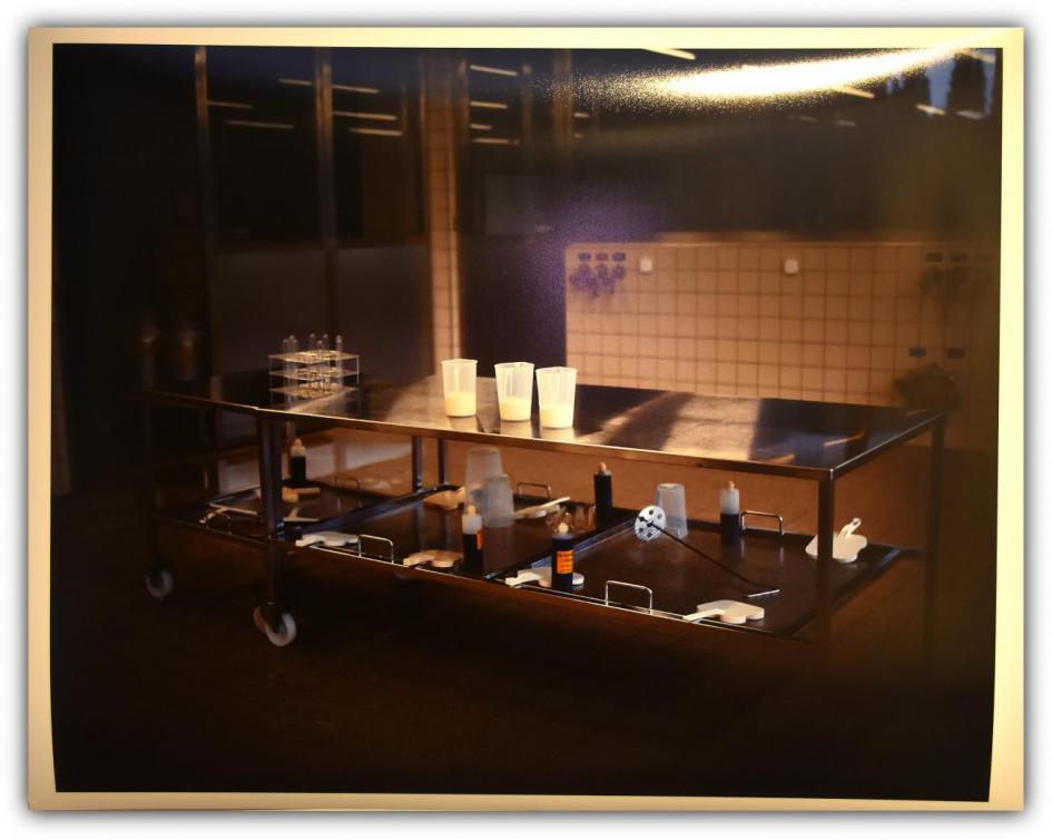 Imagen de la exposición Imagen de la exposición