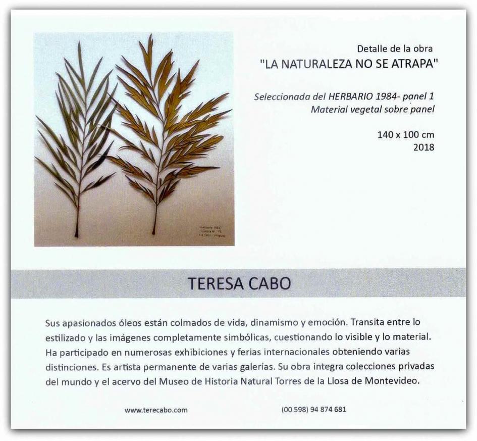 Imagen de la muestra Imagen de la muestra