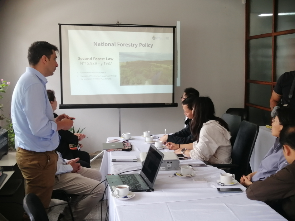 Delegaciones reunidas