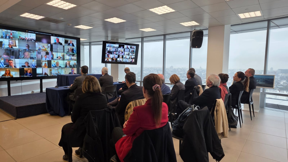 El ministro Lubetkin y su gabinete en la reunión virtual con embajadoras y embajadores