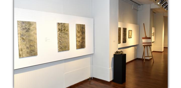 Inauguración de muestra "Ellas: raíces y ramas"