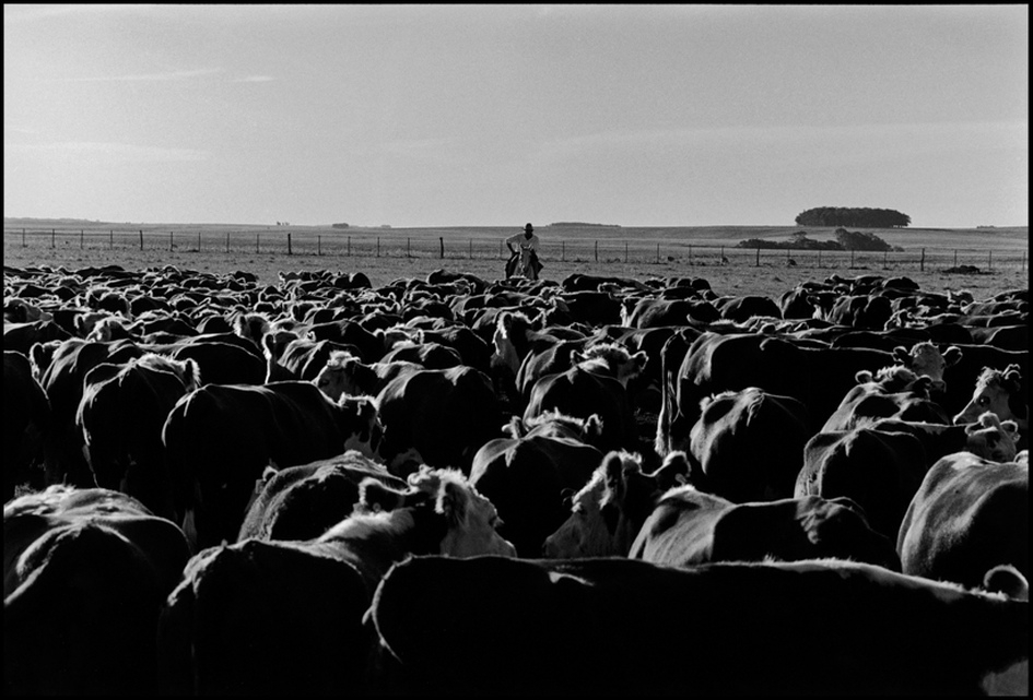Fotografía de la serie Gauchos Fotografía de la serie Gauchos