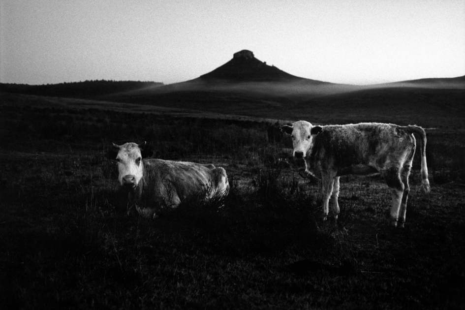 Fotografía de la serie Gauchos Fotografía de la serie Gauchos