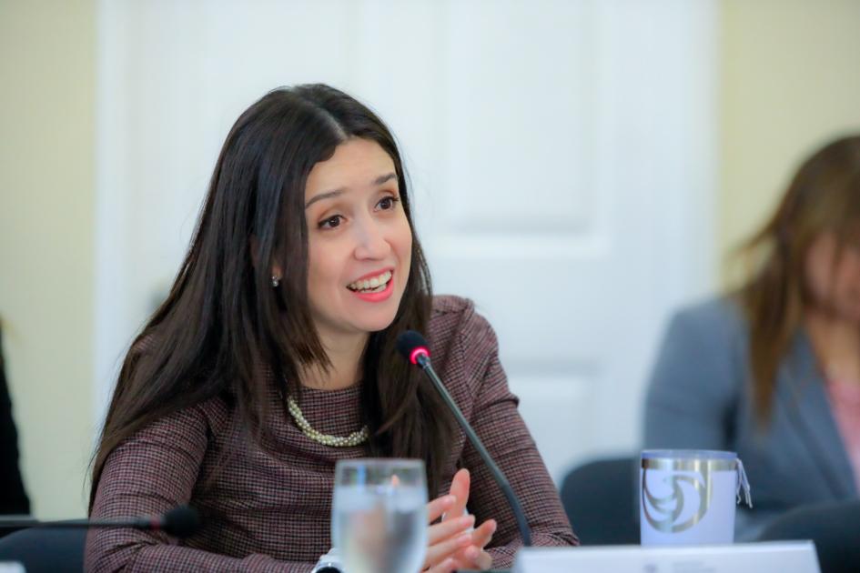 Uruguay y El Salvador sostuvieron la segunda Reunión de la Comisión Binacional Uruguay y El Salvador sostuvieron la segunda Reunión de la Comisión Binacional