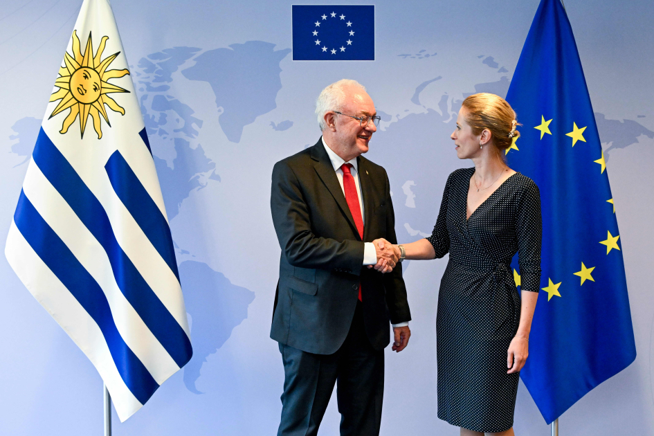 Ministro Lubetkin junto con la Alta Representante Kaja Kallas