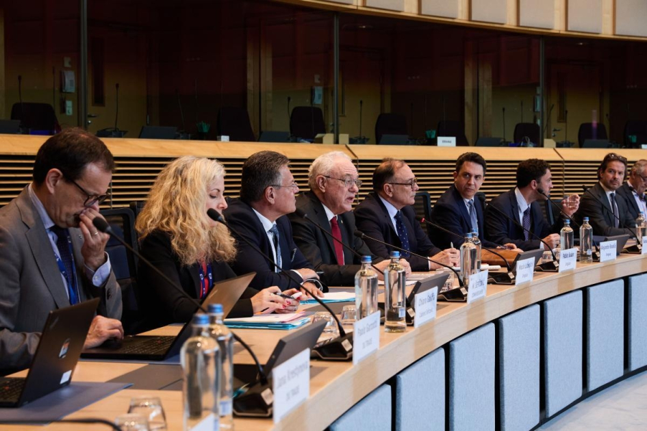 Ministro Lubetkin se dirige a empresarios europeos