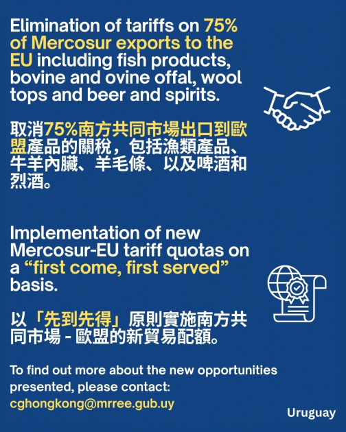 2° afiche sobre el Acuerdo MERCOSUR-UE