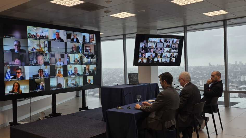 El ministro Lubetkin y su gabinete en la reunión virtual con embajadoras y embajadores